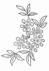 Flower Patterns Designs Printable Embroidery Pattern Petal Newdesign Via sketch template