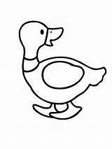 Duck Coloring Pages Printable Animals sketch template