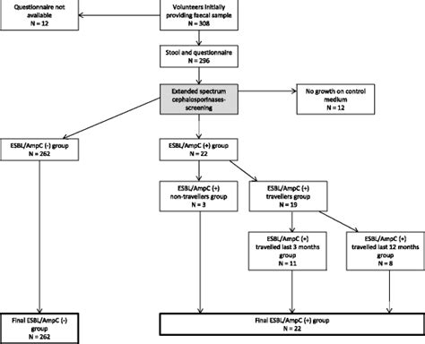 carriage  esblampc producing  ciprofloxacin  susceptible escherichia coli  klebsiella