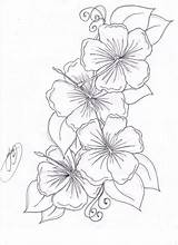 Maori Flower Tattoos Pasifika Samoan Patterns Hibiscus Flowers Coloring Drawing Pages Hawaiian sketch template
