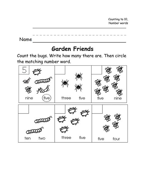 insect math worksheets worksheetocom