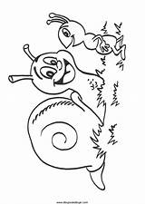 Escargot Insecte Snails Animaux Insectes Colorat Caracoles Melci Dibuixos Cargols Hugolescargot Caracol Planse Fourmi Coloriageetdessins Depuis Amie Discute Enfant Taulu sketch template