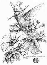Hummingbird Pinturas Kolibri Hibiscus Hummingbirds Bloem Lilies Colibri Aves Pirografie Done Lápis Hb Beija Tattoos Tekeningen Tekenen Pintura Lou Tatuaggio sketch template