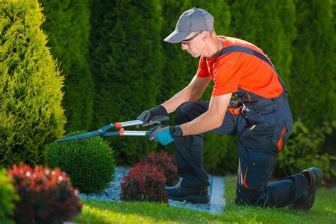 benefits  regular plant  garden maintenance   property