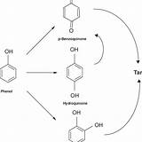 Phenol Oxidation Peroxide Hydrogen Kinetic Proposed Pssh Catalytic Heterogeneous sketch template
