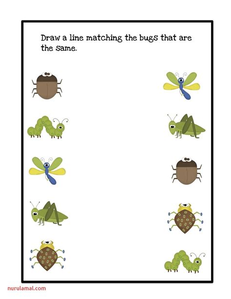 printable insect worksheets  preschoolers printable form