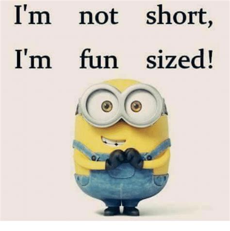 I M Not Short I M Fun Sized Meme On Me Me