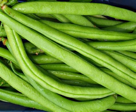 marks veg plot beans beans   beans