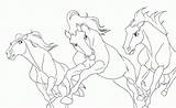 Stallion Lineart sketch template