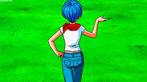 Bulma Briefs Wiki Anime Amino