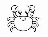 Coloring Crab Book Sea Children Coloringcrew Stock Animals sketch template