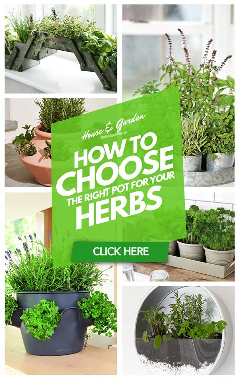 15 Herb Planter Ideas How To Choose The Right Pot And How To Grow