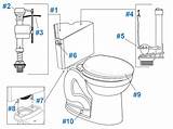 Cadet Pro Toilet Parts Standard American Tank Repair Series Diagram sketch template