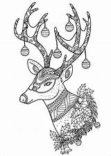 Reindeer Detailed Coloringbay Reindeers sketch template