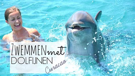 curacao zwemmen met dolfijnen youtube