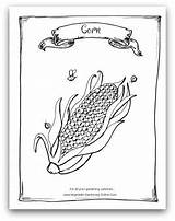 Coloring Vegetable Seed Garden Packet Printable Corn Pages Kids Gardening Template Activity Books Book Sketch Templates sketch template