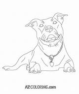Coloring Pitbull Pages Pitbulls Dog Coloringhome Color Dogs Bull Pit Getcolorings Red Printable Only Comments Books Wicked sketch template