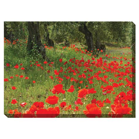 olive grove outdoor canvas art wall decor brylane home