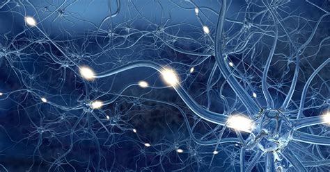reizweiterleitung nervensystem ratgeber nerven