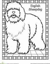 Coloring Sheepdog English Old 440px 55kb Kids Dog sketch template