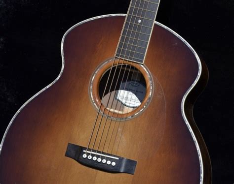string guitar stock rozawood