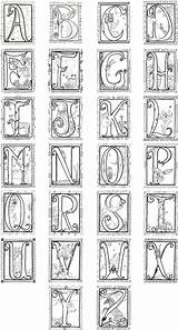 Illuminated Lettering Calligraphie Enluminure Letter Manuscript Lettres Buchstaben Schrift Trabajos Celtic Décorer Malvorlagen Fonts Caligrafia sketch template