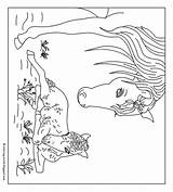 Paarden Kleurplaten Springen Lente Paard Moeilijk Dieren Kleuren Veulens Flevoland Uitprinten Flevokids Jaargetijden Eenhoorn Honden Staan Schattig sketch template