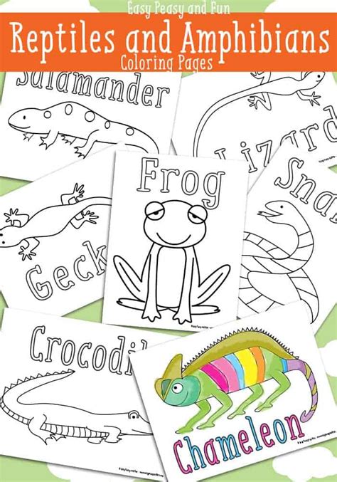 reptile  amphibian coloring pages