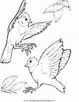 Uccelli Malvorlagen Vogelhochzeit Ovipari Malvorlage Ninjago Verschiedene Boyama 2482 Disegnidacoloraregratis sketch template