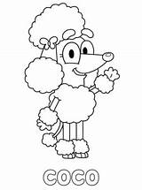 Coco Bluey Coloring Pages Printable Kids Poodle Sheet Color Cutie Fun sketch template
