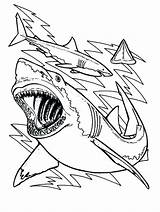 Shark Coloring Pages Sharks Printable Color Drawing Bull Megalodon Sheet Great Bulls Chicago Teeth Kids Cute Clark Outline Sheets Template sketch template