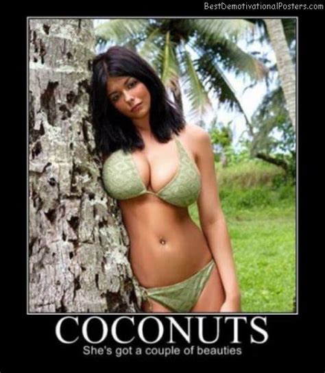 coconuts motivational poster