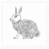 Coloring Book Garden Hu Forest Enchanted sketch template