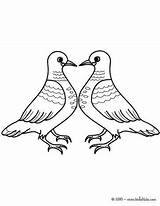 Coloriage Pombos Pigeons Namorados Colorier Doves Hellokids sketch template