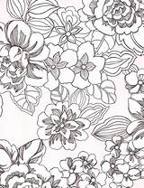 Coloring Tropical Pages Flower Adult Printable Leaves Flowers Sheets Pixels Getdrawings Pattern Summer Book sketch template