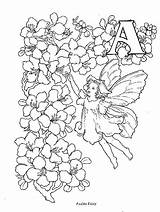 Fairy Coloriage Coloring Pages Cicely Barker Mary sketch template