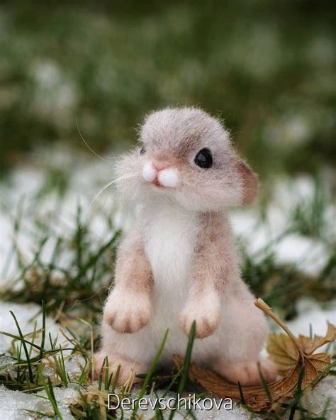 cute   baby animals  surely   day baby