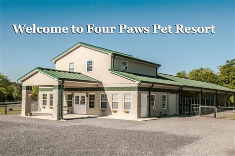 paws pet resort  vacation   peace  mind