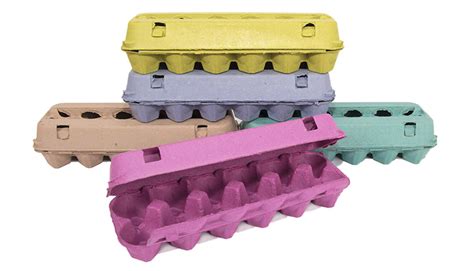 paper egg cartons  pack wa  critter cages