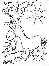 Kleurplaten Ezel Dieren Asino Animaux Hewan Binatang Mewarnai Animasi Coloriages Animierte Bergerak Malvorlage Boom Malvorlagen Titel Animaatjes Esel Donkey sketch template