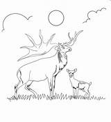 Coloring Pages Reindeer Printable Caribou Duo Mother Baby sketch template