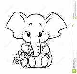 Elephant Coloring Pages Face Printable Getcolorings Print Elephan sketch template