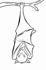 Bat Coloring Pages Hanging Sketch Color Drawing Upside Down Draw Printable Print Drawings Animal sketch template