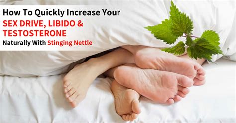 How To Quickly Increase Your Sex Drive Libido And Testosterone Naturally