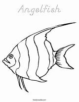 Coloring Angelfish Fish Book Pages Sheet Pez Color Sea Blue Noodle Animal Angel Twisty Ocean Rainbow Adventure Marine Life Makes sketch template