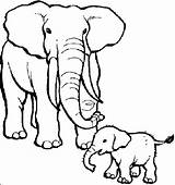 Elephant Coloring Pages Baby Animals Drawing Mother Their Kids African Babies Mom Cute Animal Draw Her Zoo Elephants Care Color sketch template