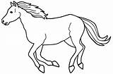 Cavalo Cavalos Arabian Poplembrancinhas Olphreunion Cavalgando sketch template