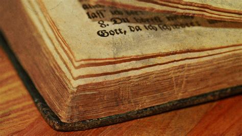 eine oekumenische deutsche bibel waere unbedingt notwendig kathch