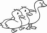 Coloring Pages Goose Goosebumps Duck Drawing Printable Flying Slappy Seagull Canada Getcolorings Horrorland Getdrawings Animal Nice Clipartmag Colorings sketch template