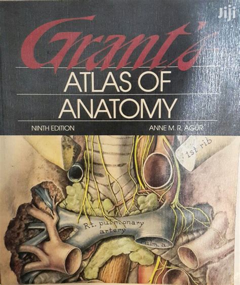 Archive Grants Atlas Of Anatomy 9th Edition In Bole Books And Games